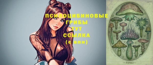 мяу мяу кристалл Медвежьегорск