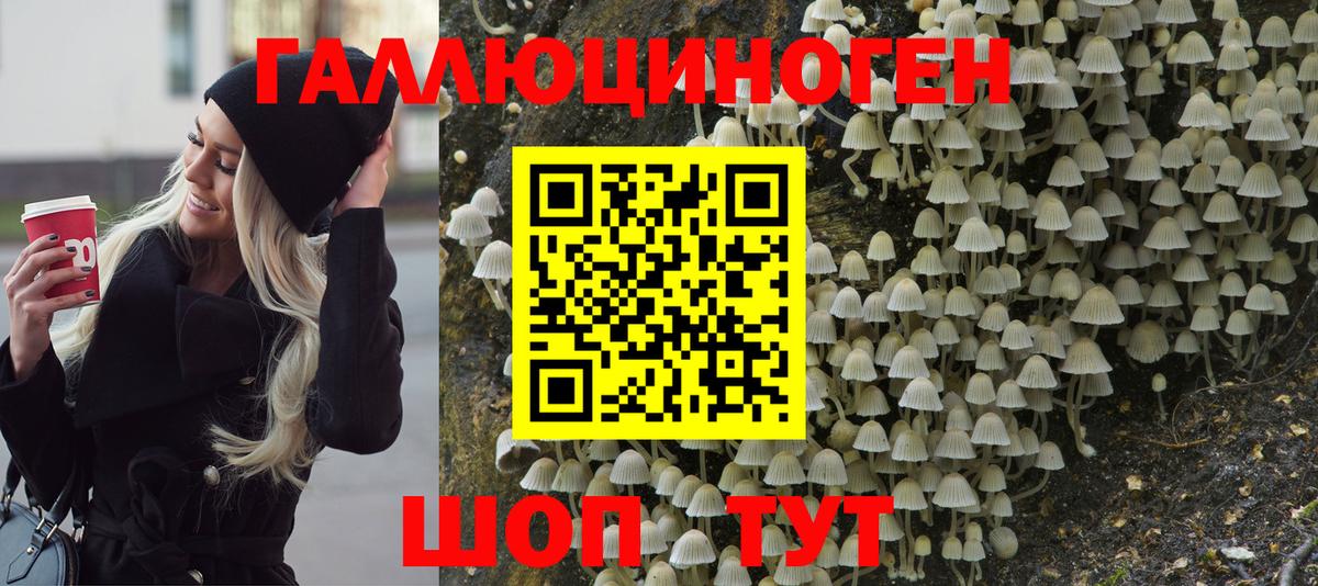 Галлюциногенные грибы MAGIC MUSHROOMS  Вход с VPN  Сызрань 